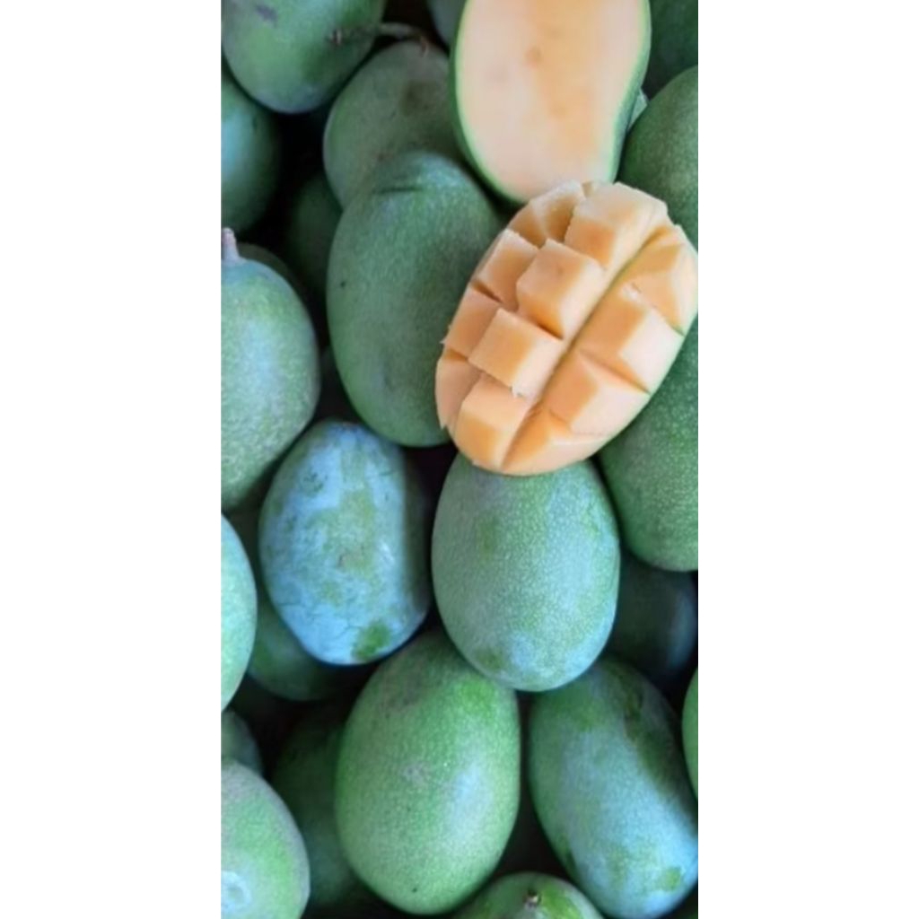 Mangga Manalagi Madu 1kg