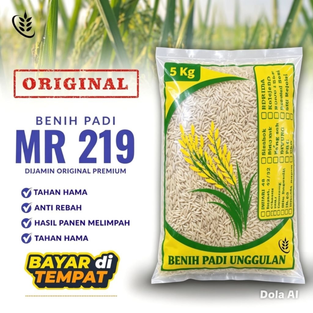 Benih Bibit Padi MR 219 Kemasan 5kg Original Super Premium