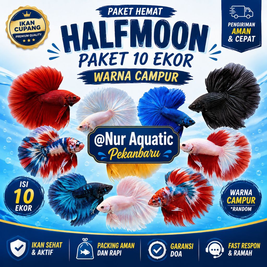 Paket Ikan Cupang Halfmoon Jantan size L warna Random