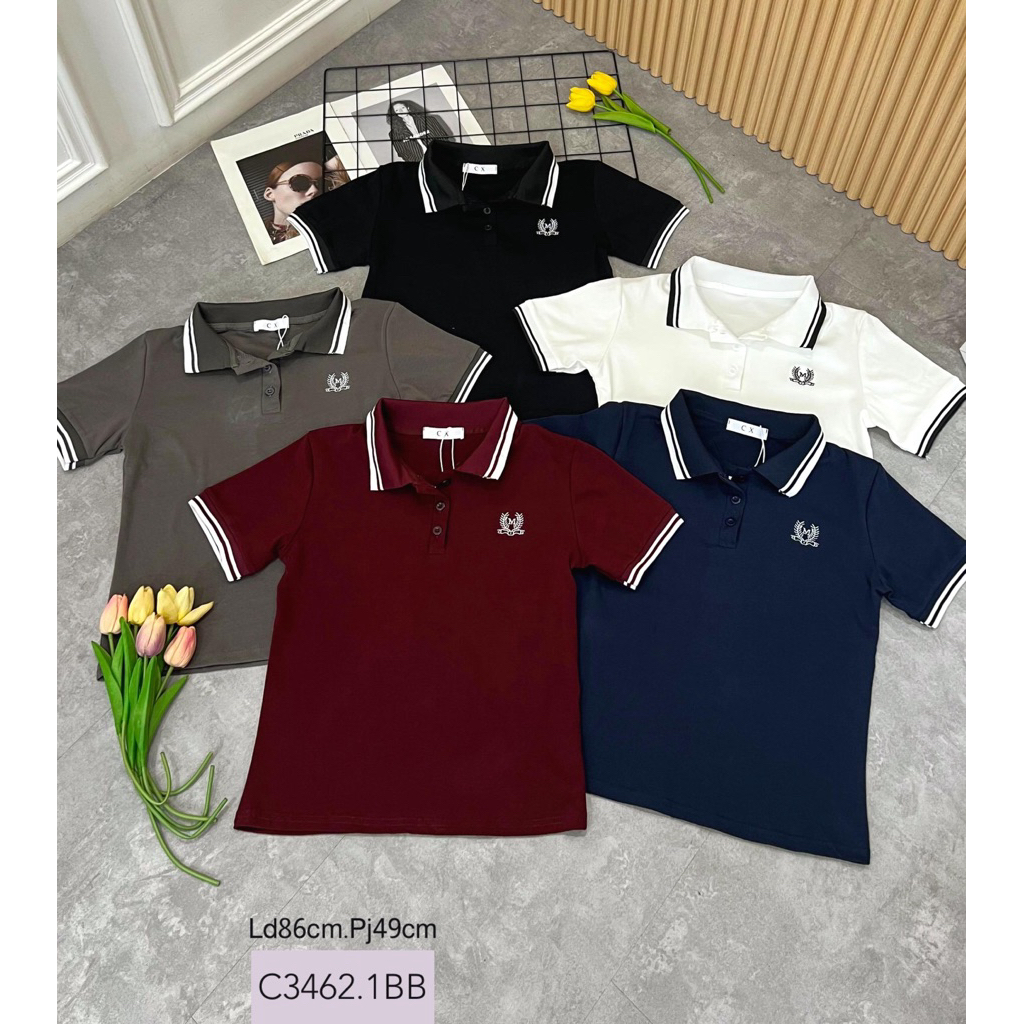 kaos kerah import wanita