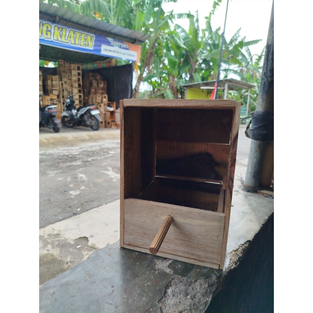 Glodok Burung Murai Laci Slorok Pintu Belakang Glodok Ternak Murai