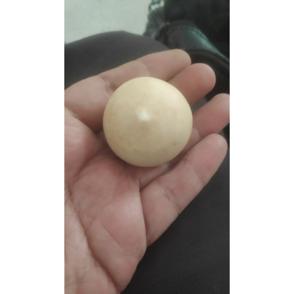 Batu Akik Kelapa