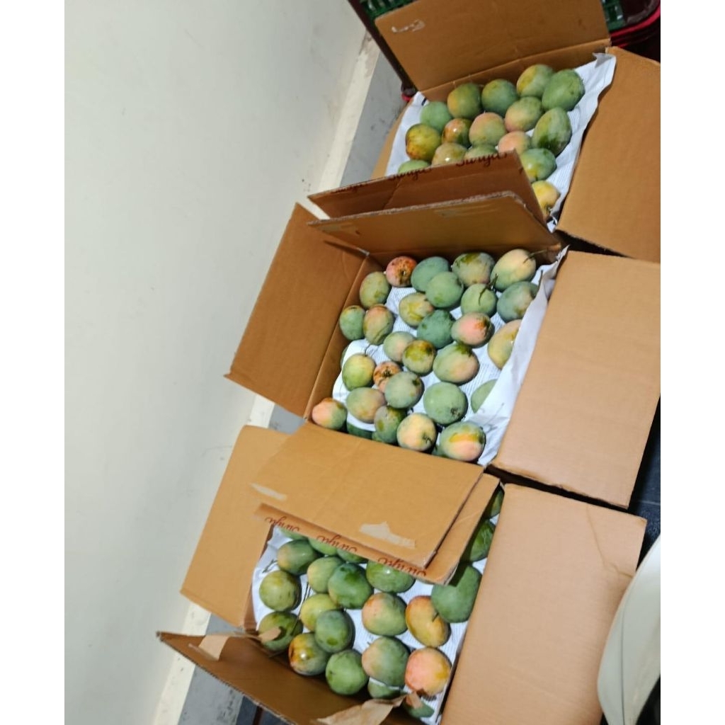 MANGGA GEDONG GINCU AB 1kg