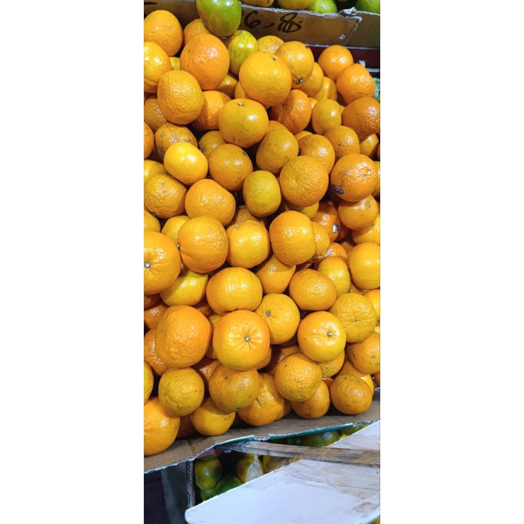 Jeruk wokam/mandarin