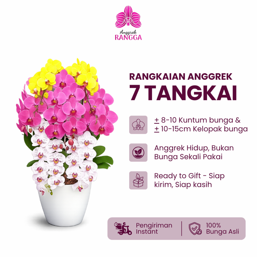 Rangkaian Anggrek Bulan 7 Tangkai Premium | Dekorasi & Hadiah