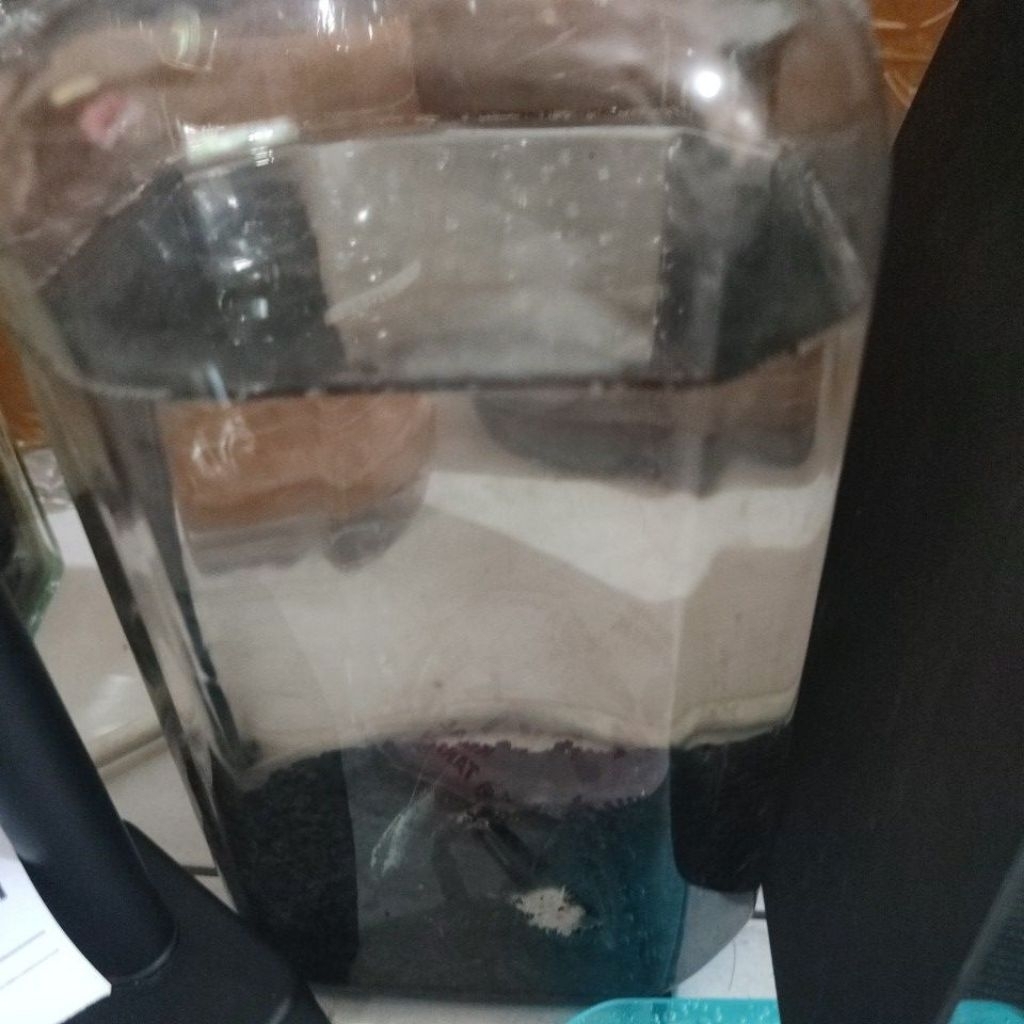 Toples Cupang 2 Liter