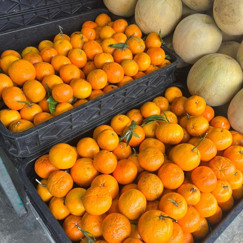 BUAH JERUK BABY WOGAN 1KG INSTAN MALANG JERUK IMPORT 1KG