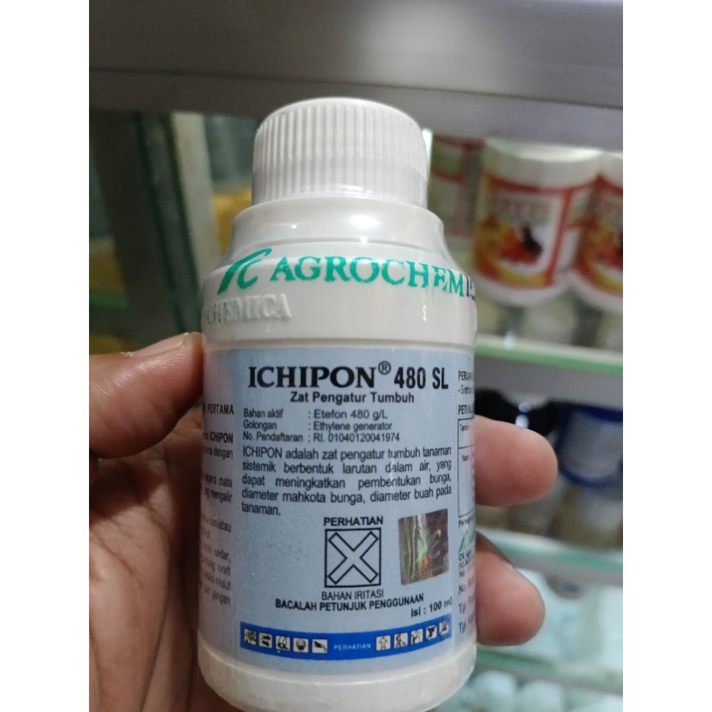 ICHIPON 480 SL - 100 ML