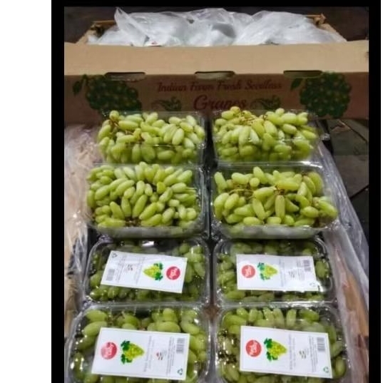 anggur hijau 1kg