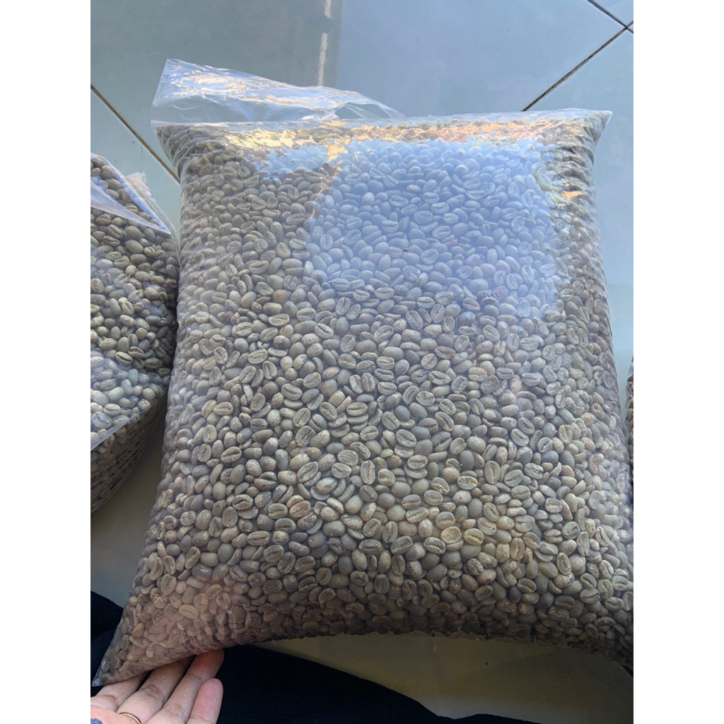7 KG BIJI GRADE 1 KOPI ARABIKA IJEN RAUNG BONDOWOSO