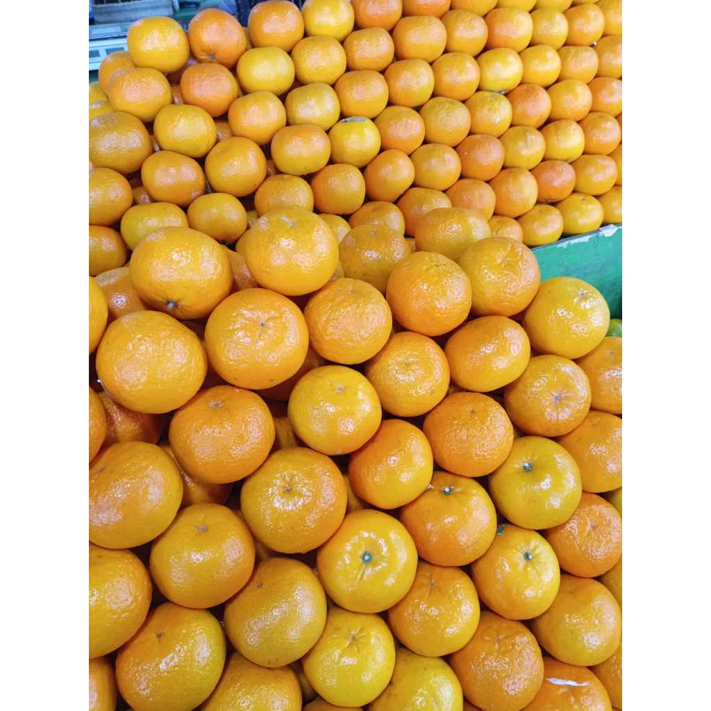 Buah Jeruk Manis