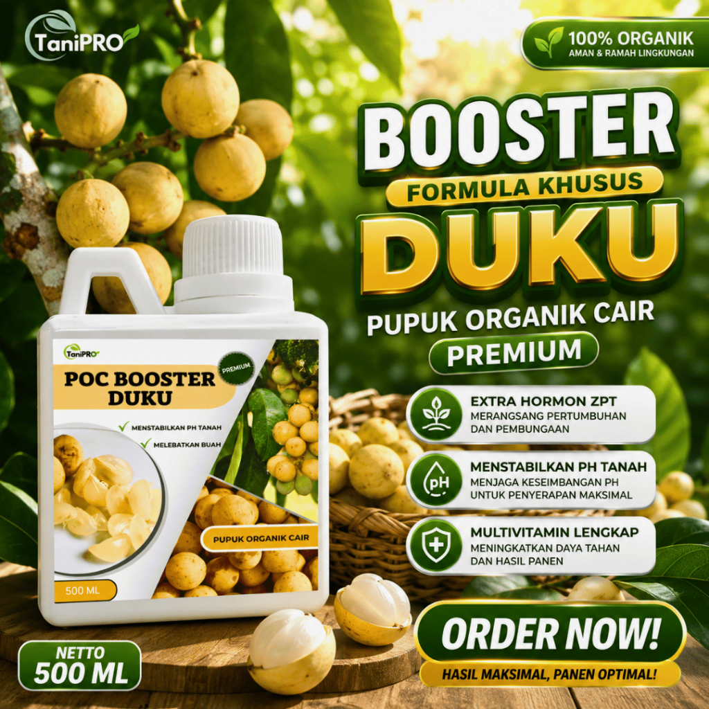 Pupuk Organi Duku Super Pelebat Buah 1 Liter-Agar Buah Duku Manis, Matang Merata