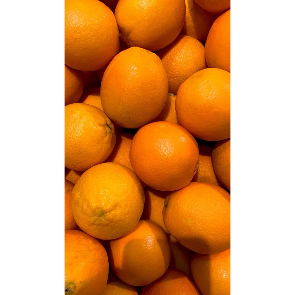 JERUK SUNKIST NAVEL VALENCIA