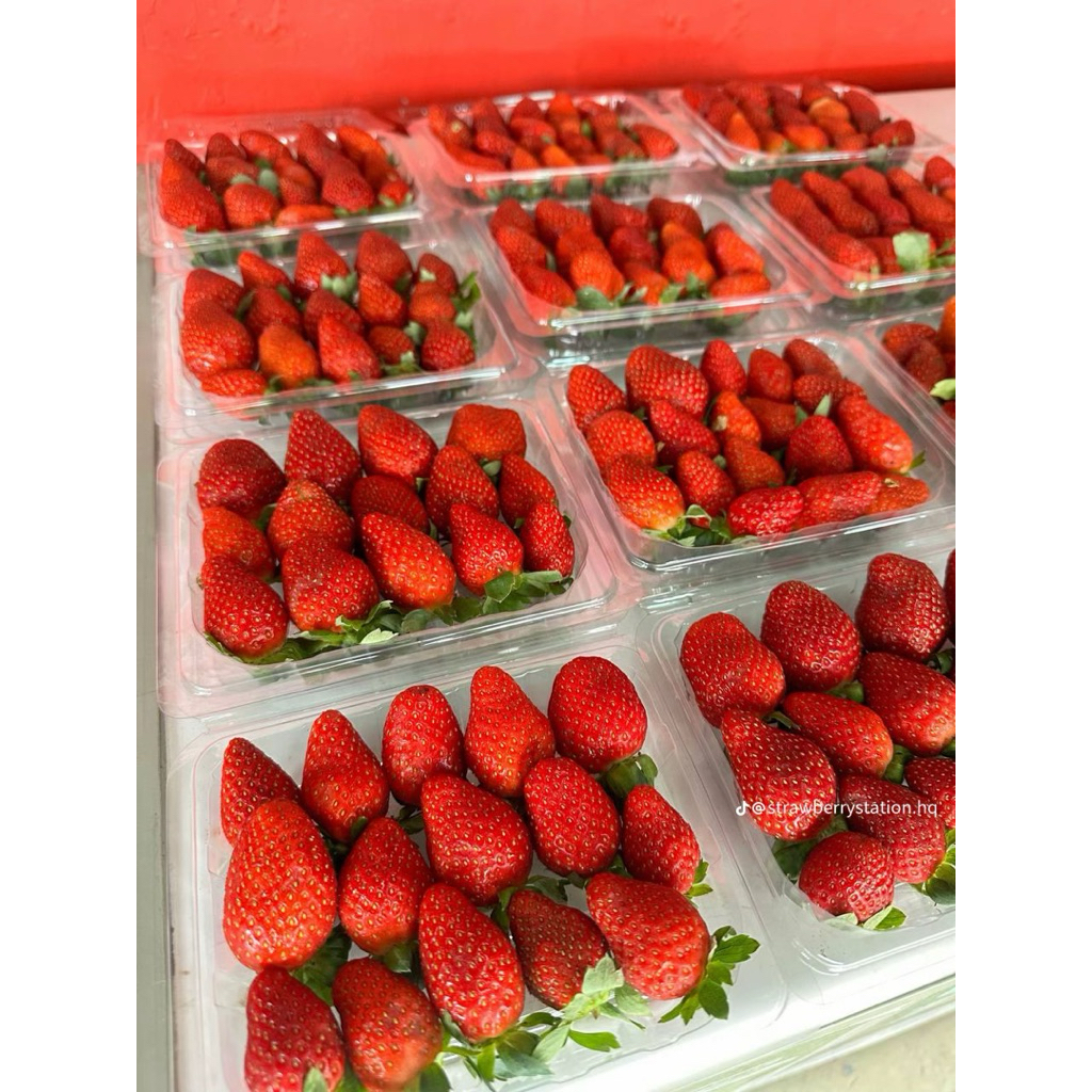 buah strawberry 1mika