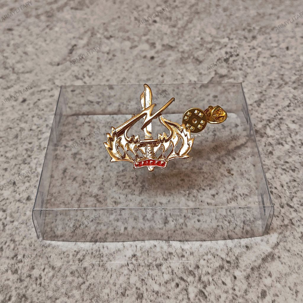 Pin wing brevet para raider