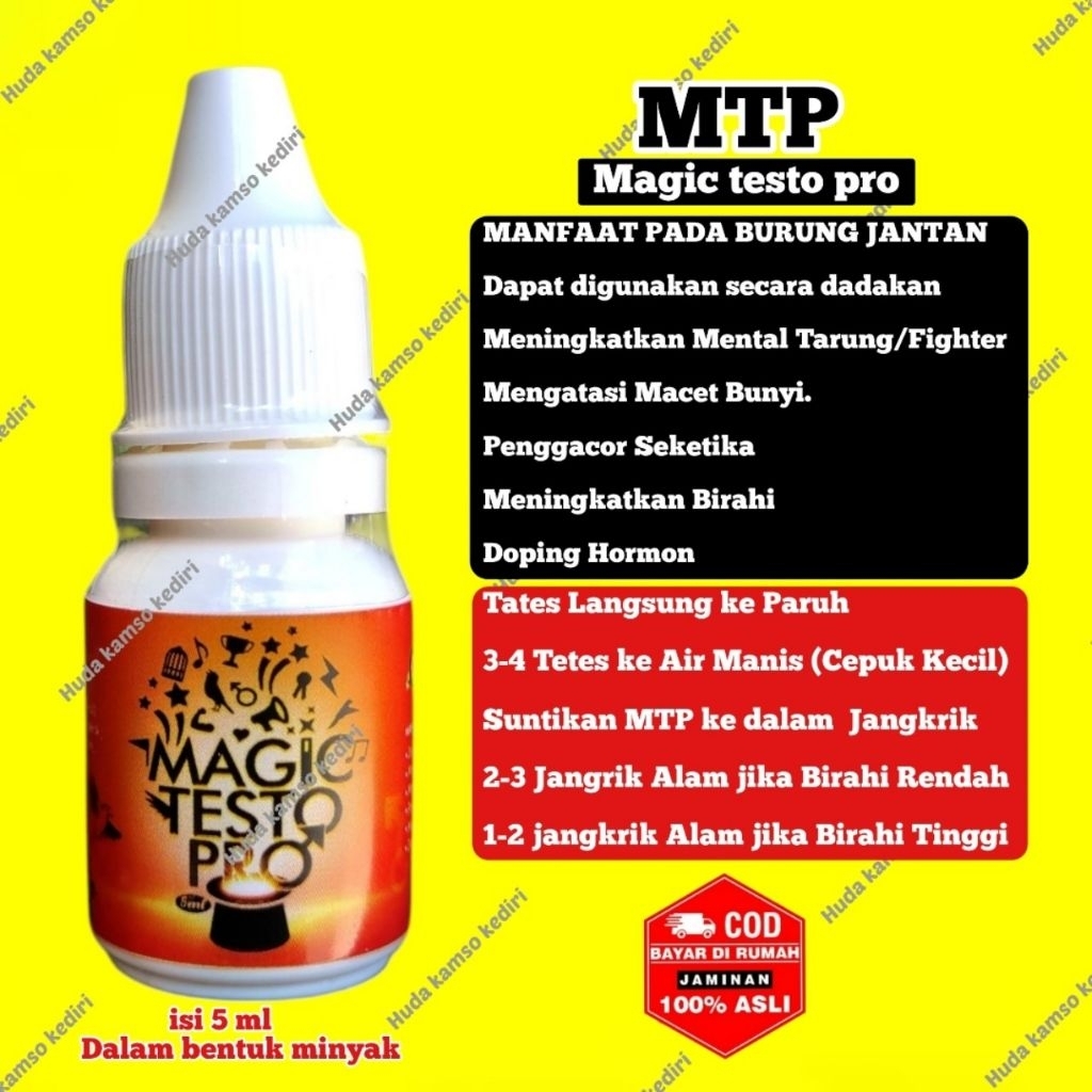 MAGIC TESTO PRO MTP PENGGACOR SEKETIKA BURUNG
