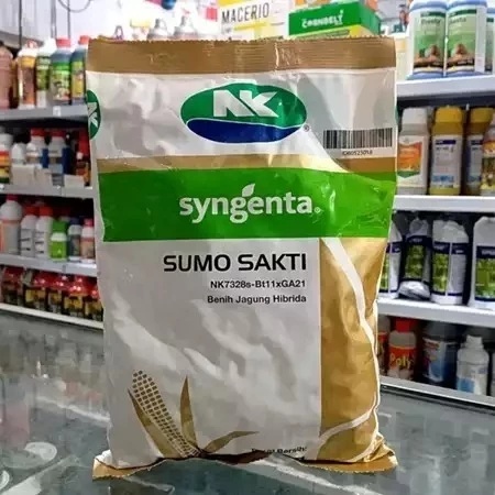 Syngenta Sumo Sakti NK7328-B B1xGa21 -NK 7328 SAKTI - NK SUMO SAKTI 1KG