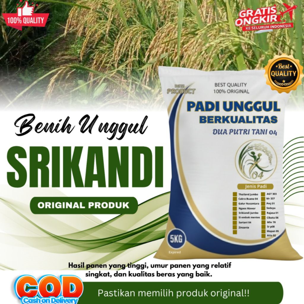 Bibit Padi Unggul SRIKANDI Kemasan 5kg