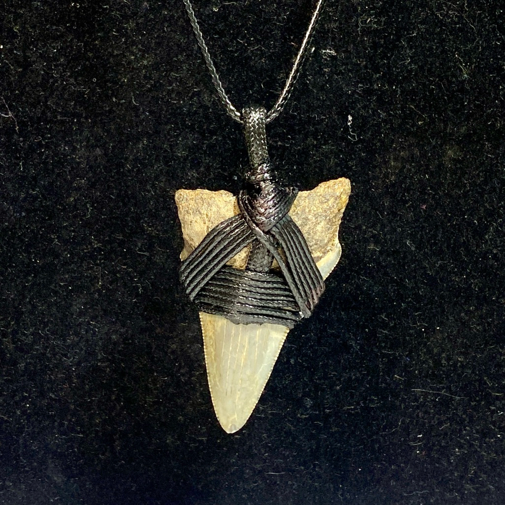 Kalung Gigi Hiu - Fosil batu Gigi Hiu - Shark Tooth