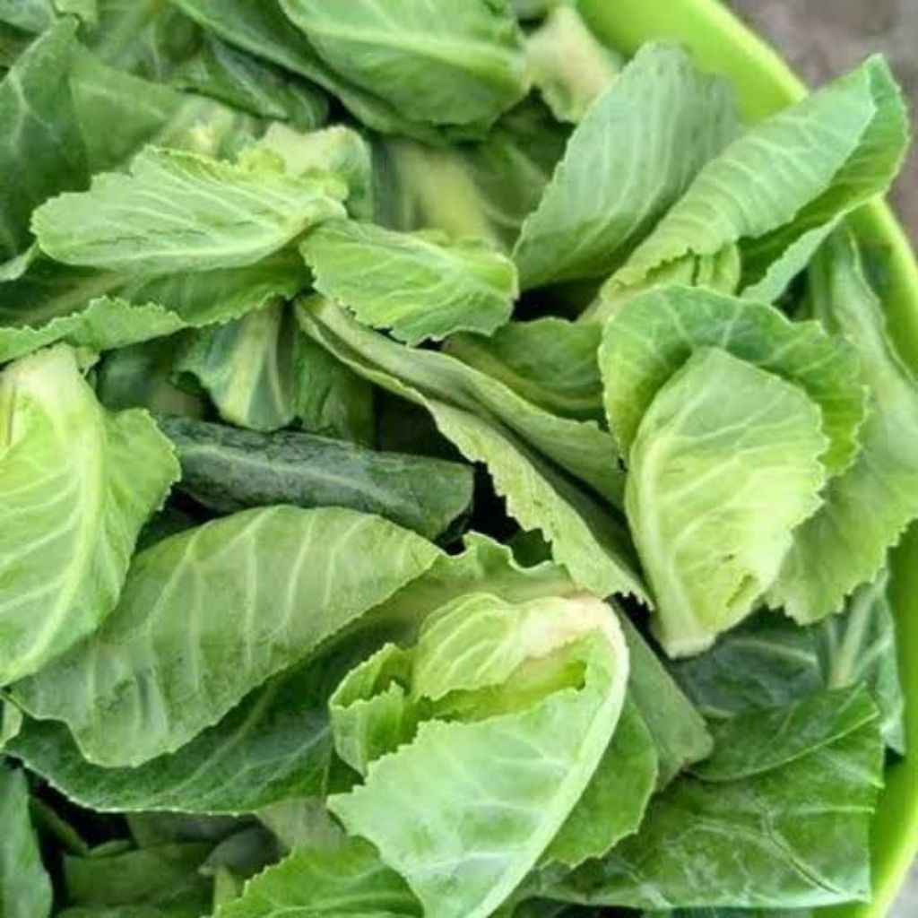 Sayur Ciwis Cuciwis