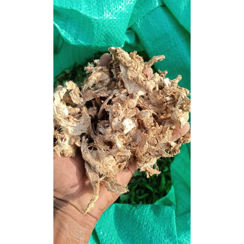 350 gr temu lempuyang kering/Lempuyang /zinginger zerumbet / lapoyang kering