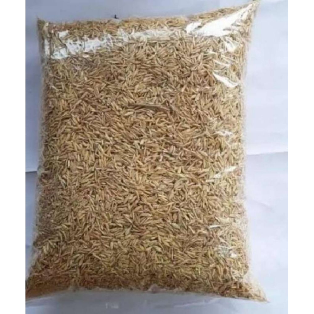 sekam mentah 1kg/media tanam sekam mentah 1kg/sekam mentah
