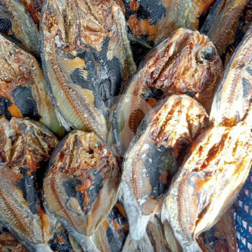 Ikan asin bandeng kering