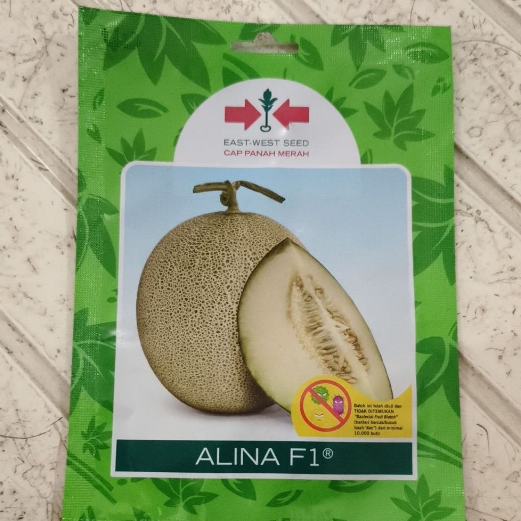 Benih Melon Alina F1 40 Butir