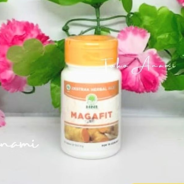 Magafit HNI HPAI Maag Gerd Asam Lambung