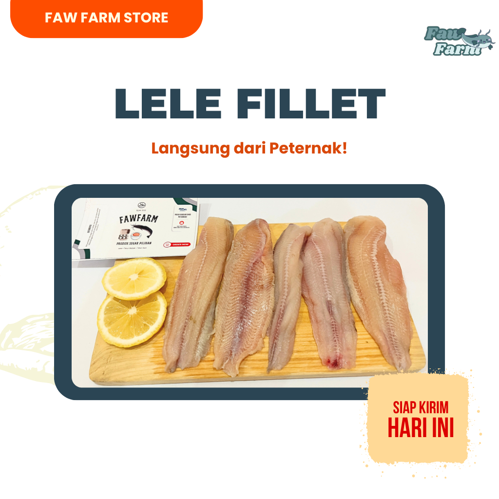 Ikan Lele Fillet Boneless Segar 250gr 500gr 1kg Tanpa Duri Kulit dan Tulang Siap Olah Tanpa Pengawet