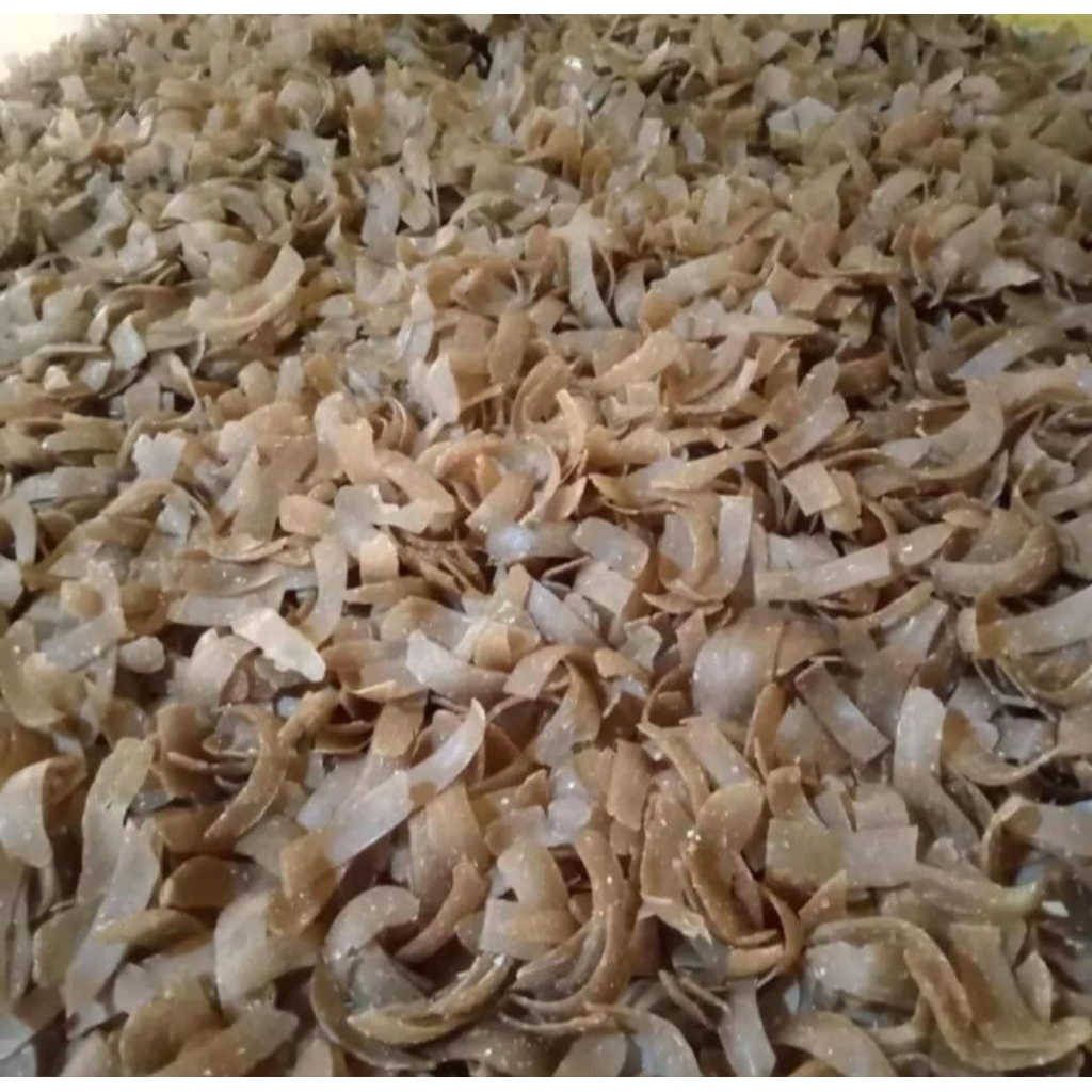 kerupuk lekor, kerupuk ikan khas Malaysia UMKM DELI SERDANG
