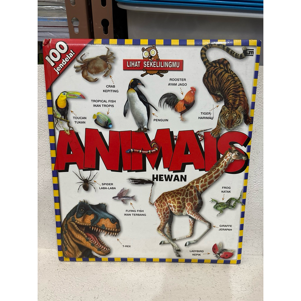 [PRELOVED] BOARDBOOK Lihat Sekelilingmu ANIMALS 100 jendela