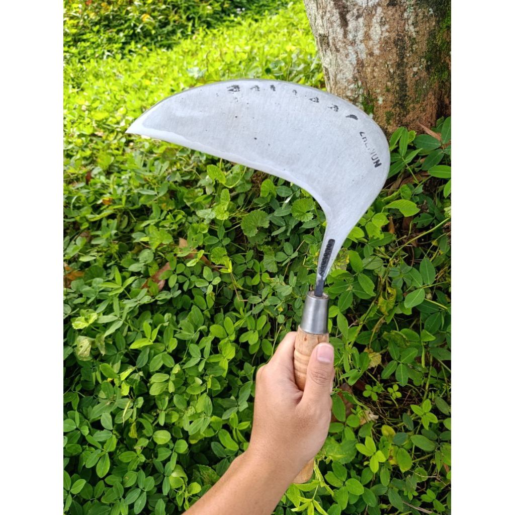 arit rumput model bagong asli baja isen wonosobo