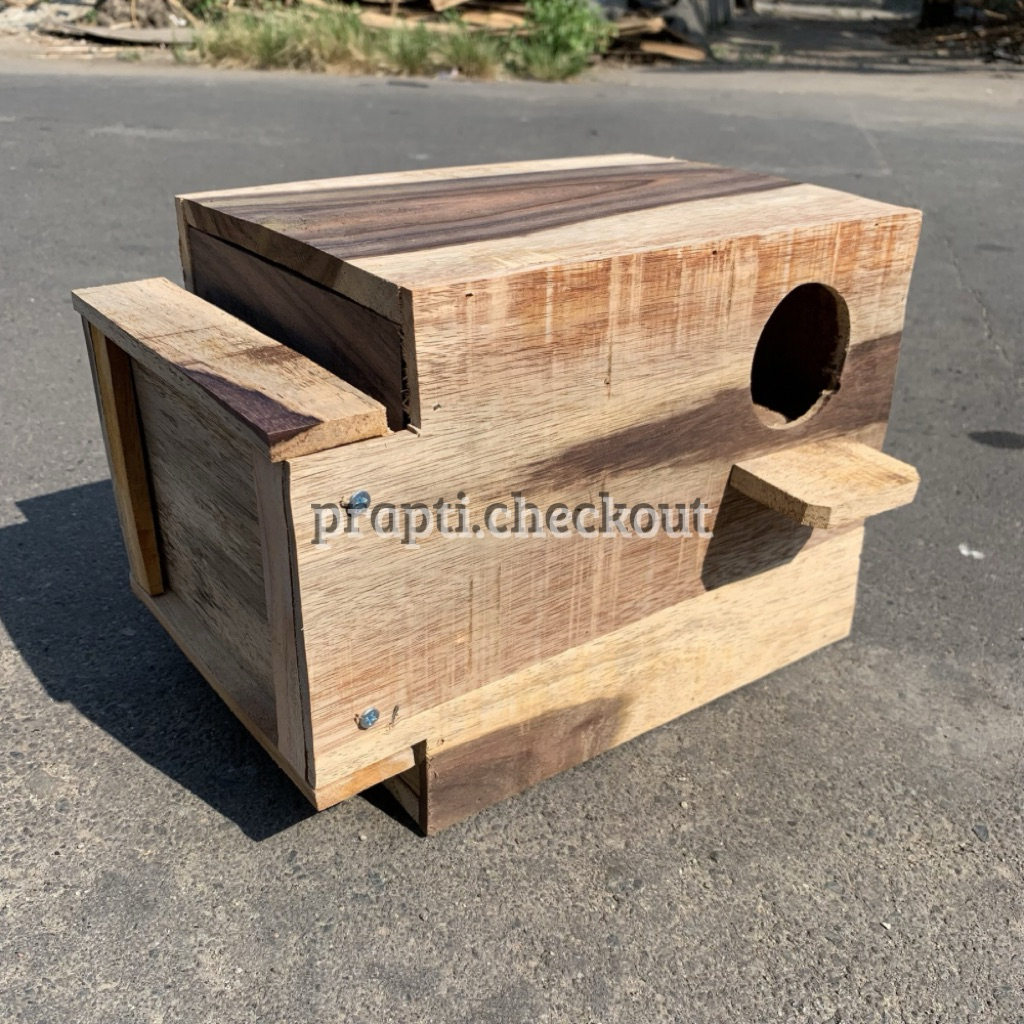Glodok Kaca Lovebird ( Free Sarang Lovebird ) Glodok Pantau Sarang Lovebird