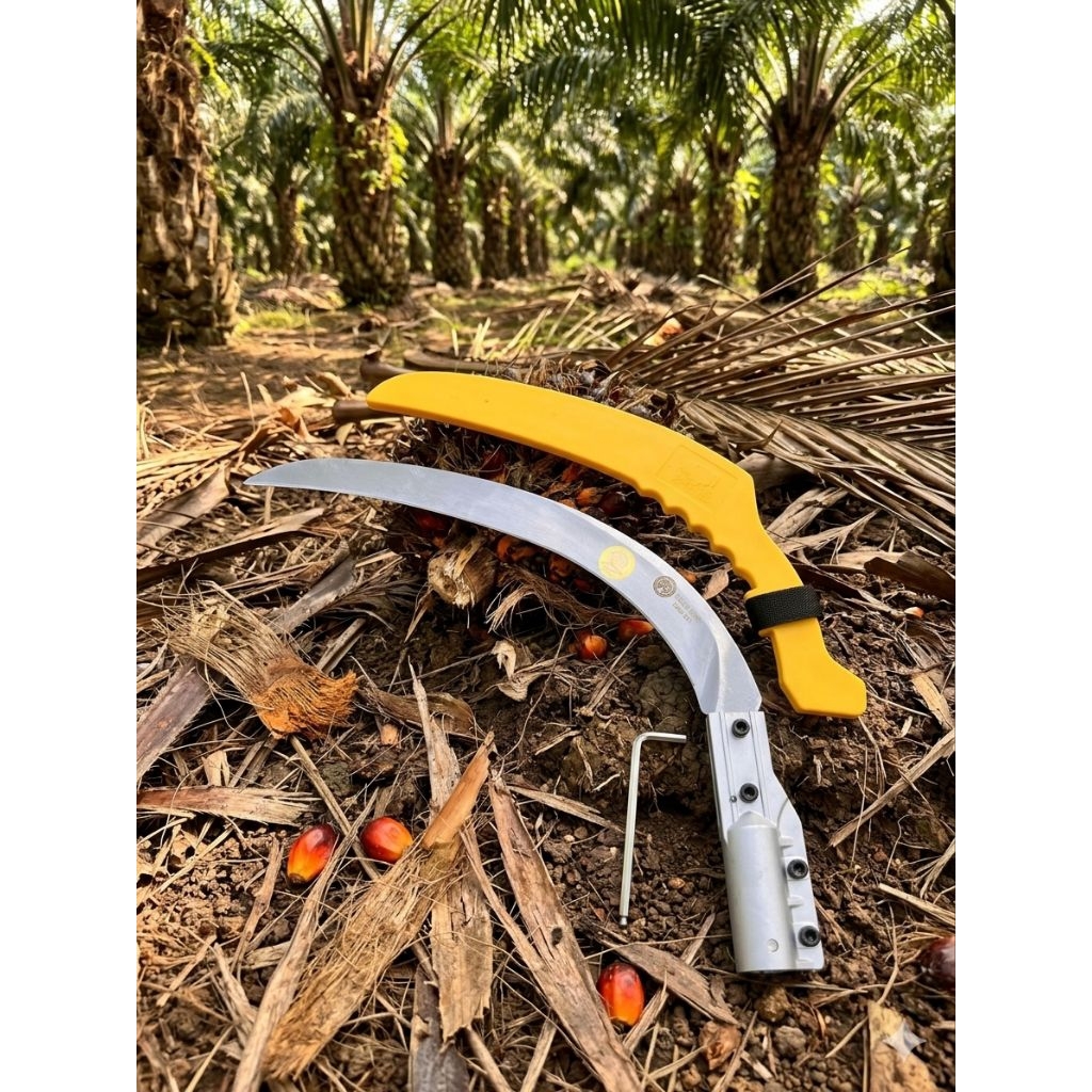 Egrek Palm Indo king 411 original