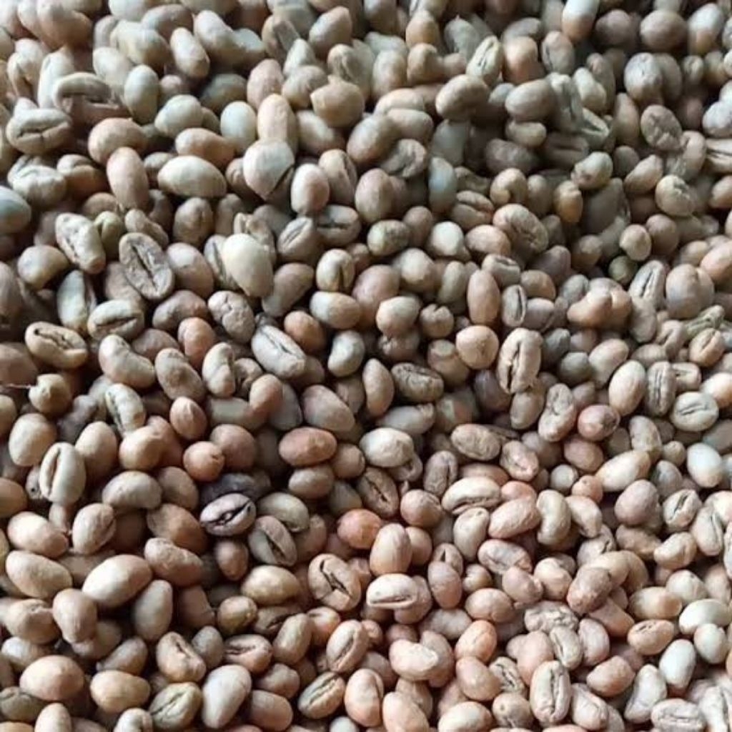 KOPI LANANG ROBUSTA