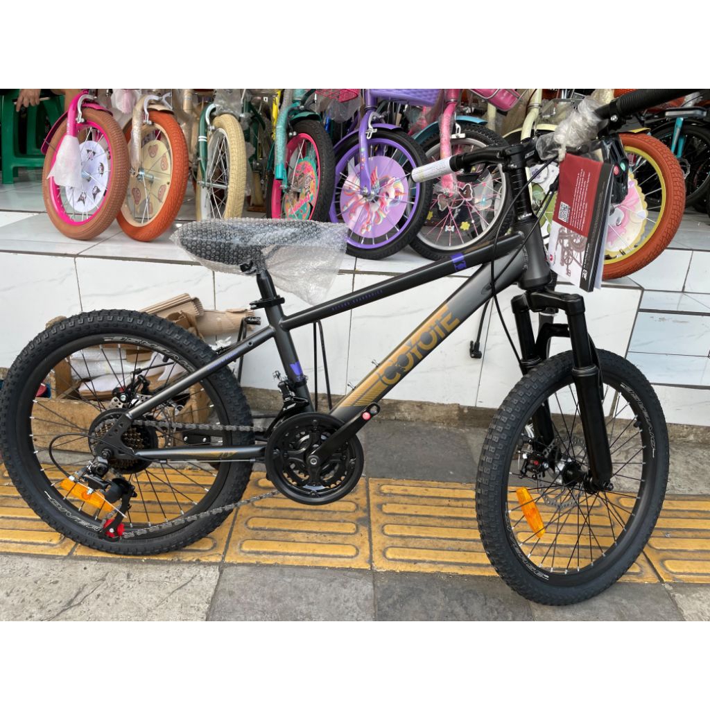 Rumahsepedabdg BMX X MTB Coyote X Phoenix Sepeda Remaja Dewasa Sepeda Gunung