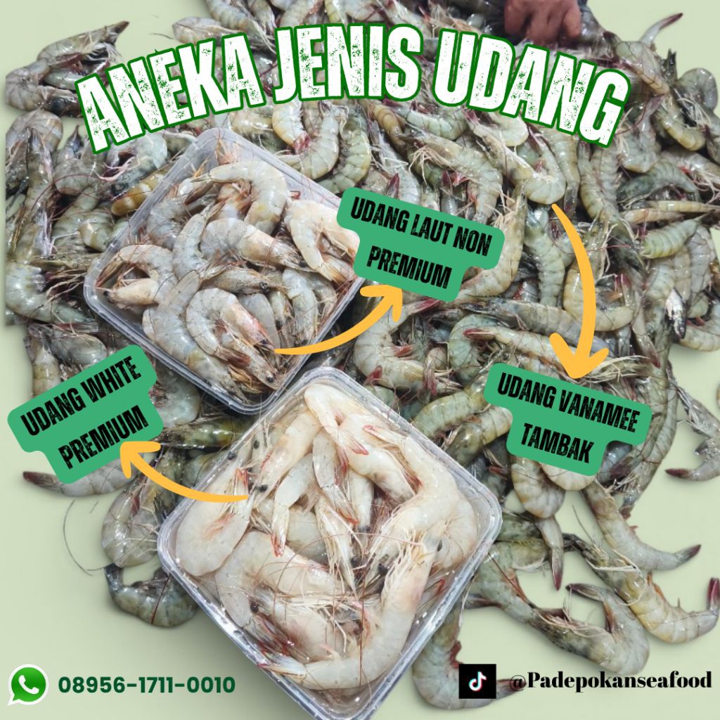 UDANG LAUT 1KG OBRAL AMBYAR