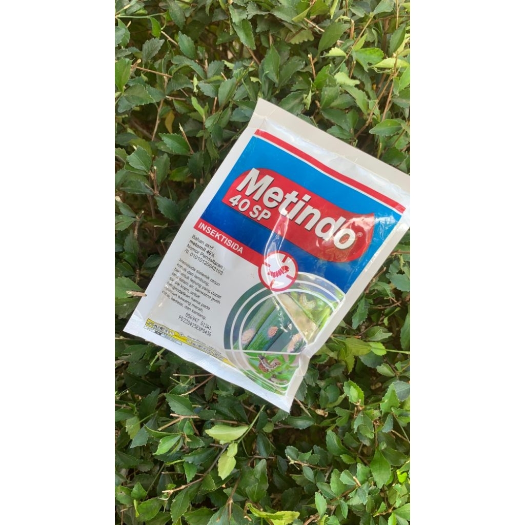 Metindo 40 SP Insektisida Metomil 40% Pembasmi Ulat Hama Tanaman Obat Hama Pertanian