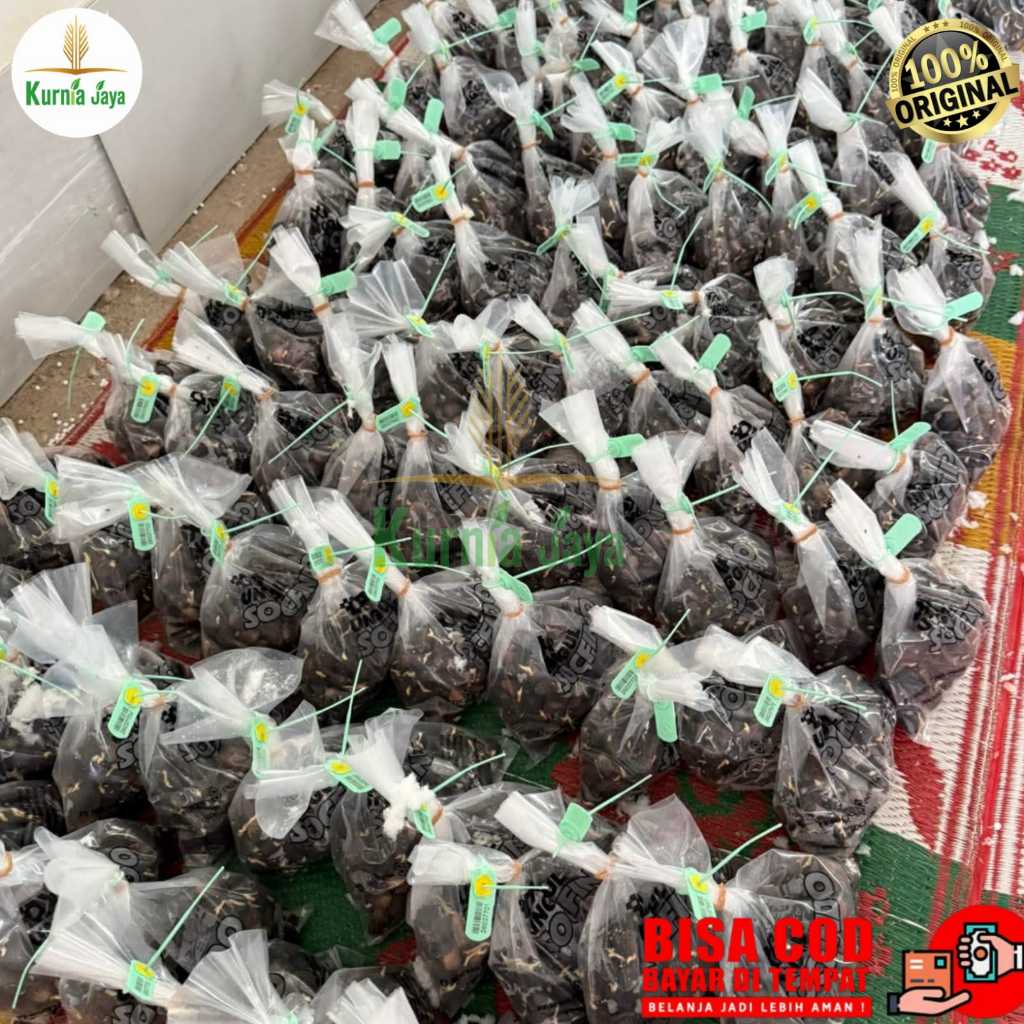 PPKS DxP 540, Yangambi, Dumpy, simalungun, TN1, Sriwijaya - Bibit Unggul Isi 250 Butir / Kualitas Ba