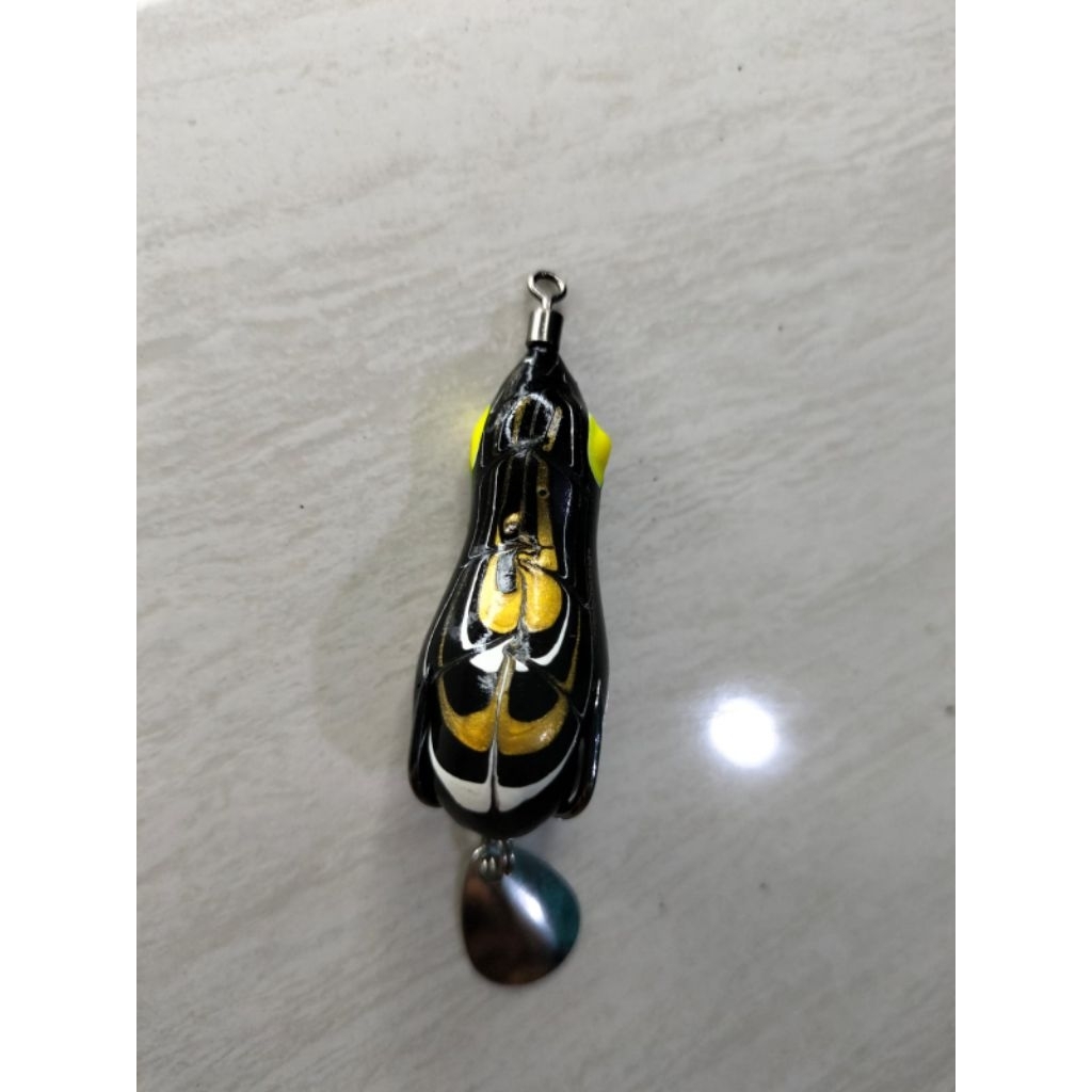 sofrog tenggelam 4 cm hitam
