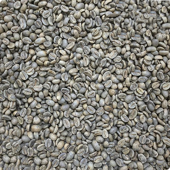 Green Bean Gayo Full Wash 1 Kg, Green Bean Gayo Rembele 1kg