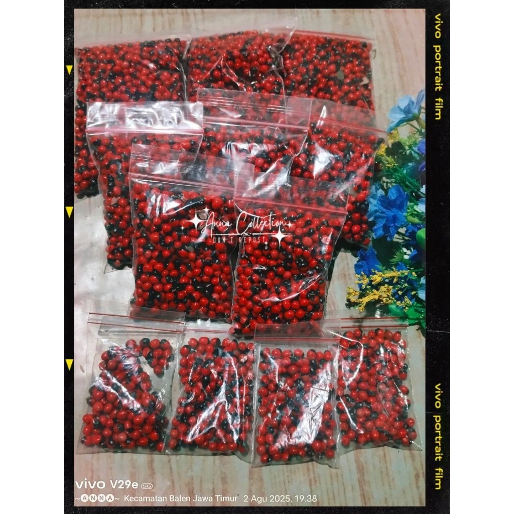 SOGOK TUNTENG/Biji saga rambat PREMIUM kemasan 50gr