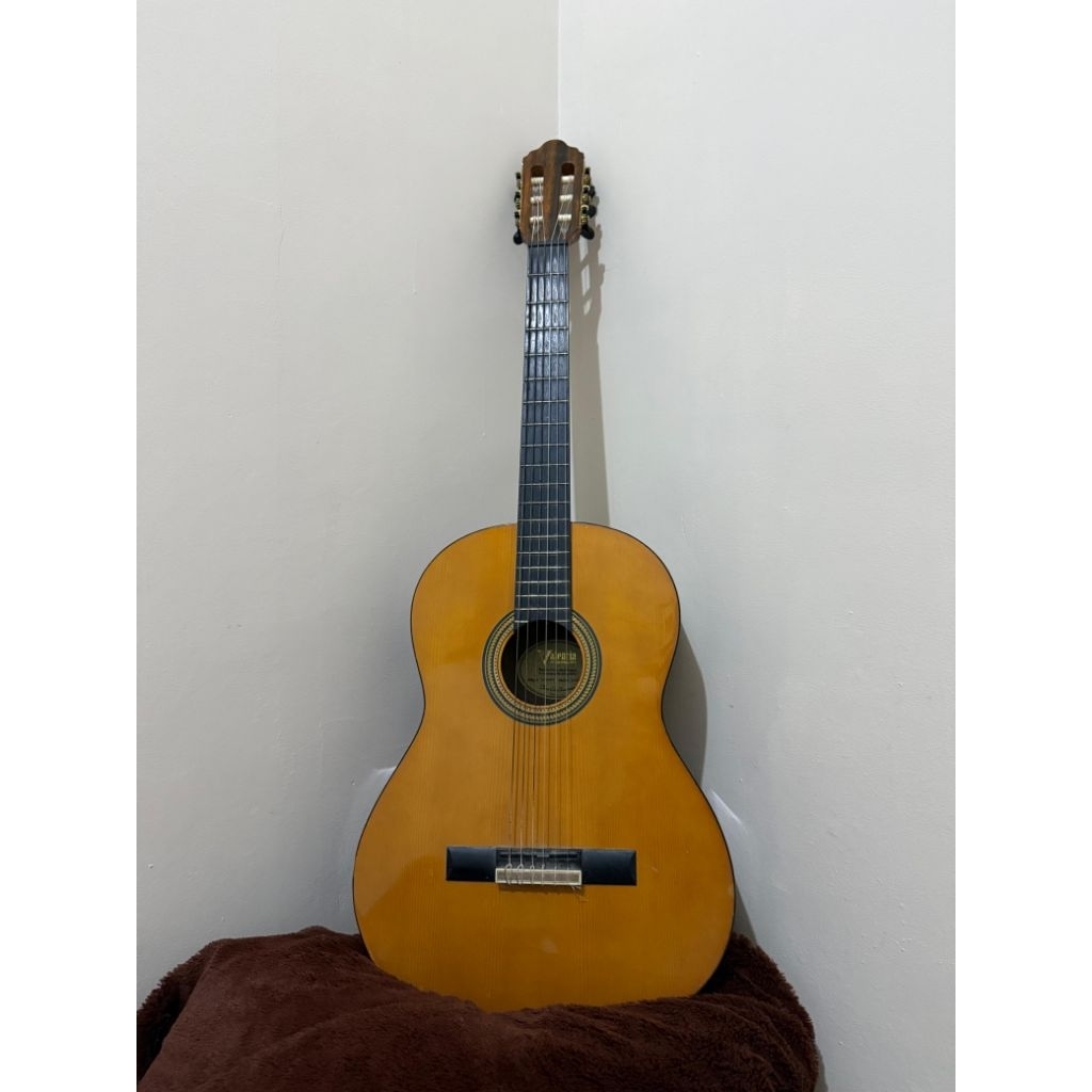 Gitar Valencia C264HVT