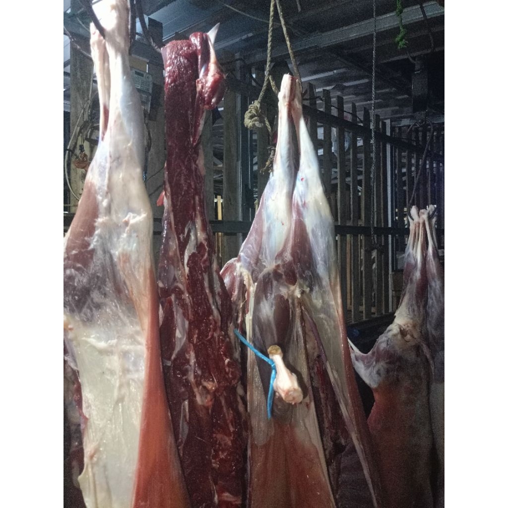 Daging Kambing Lokal Tanpa Tulang / Daging Kambing fresh frozen