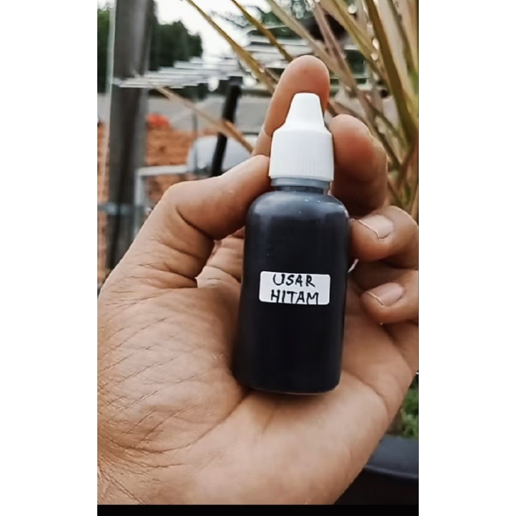 Essen Biang Usar Hitam Super Original 30ml Umpan Pancing