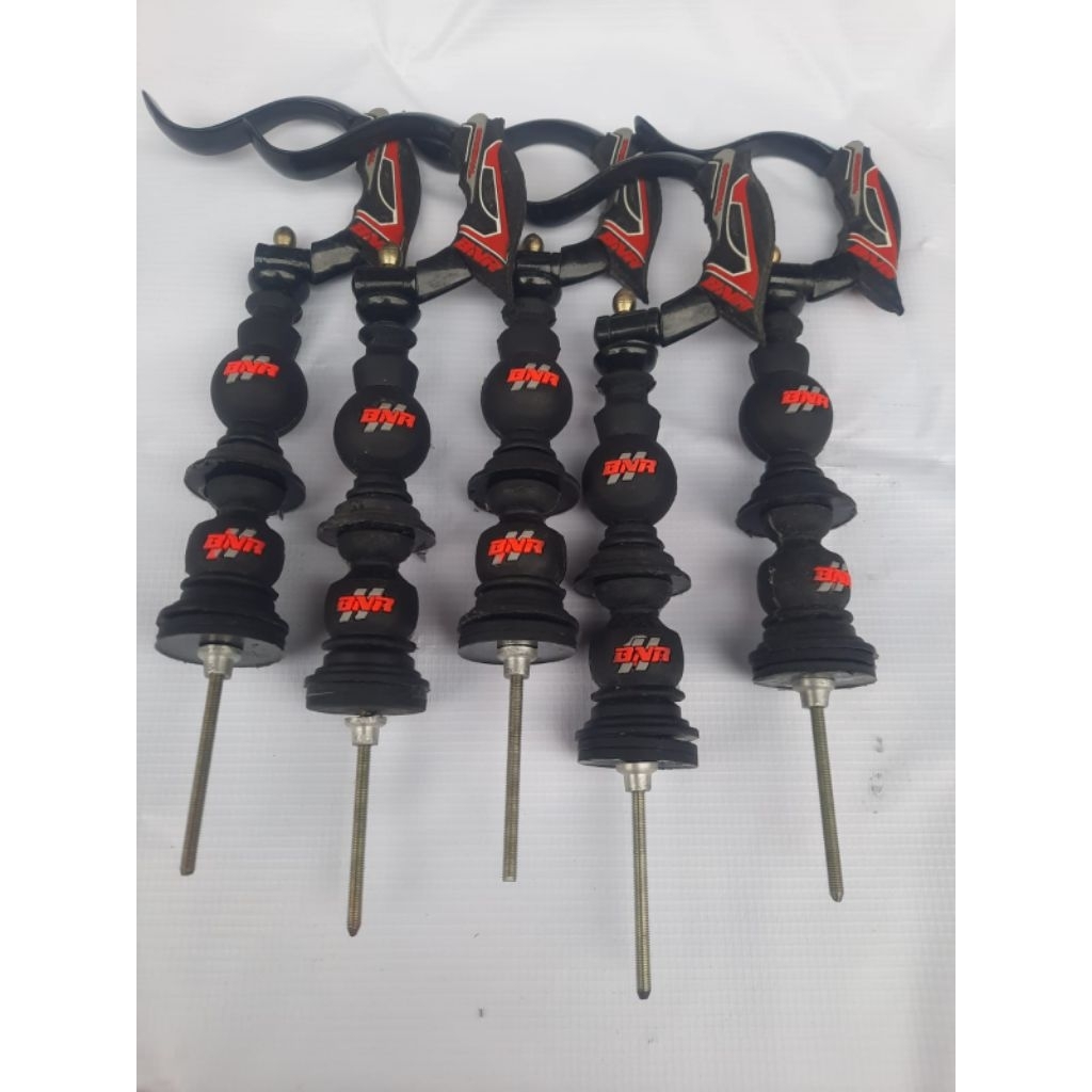 PION BNR ORIGINAL