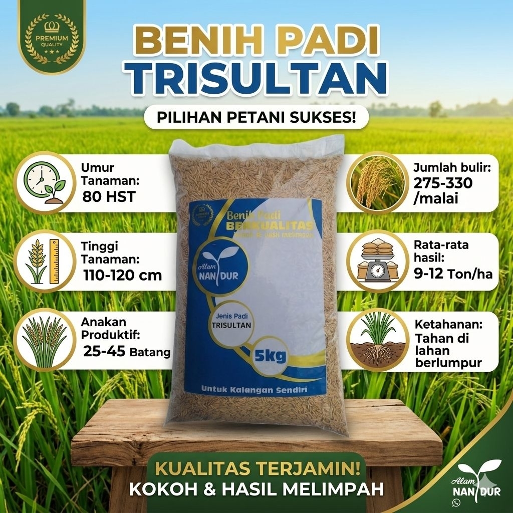 BIBIT | BENIH PADI TRISULTAN KEMASAN 5KG