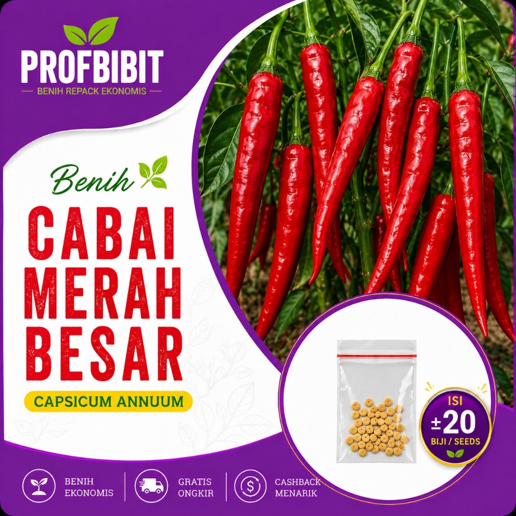 Benih Cabai Merah Besar Sayuran Cabai Merah - Bibit Sayuran Cabai