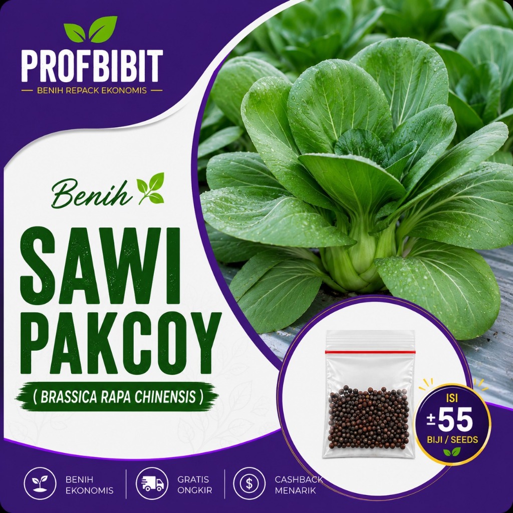 Benih Sayuran Sawi Pakcoy Ekonomis - Bibit Sayuran Pakcoy